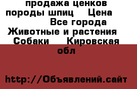 продажа ценков породы шпиц  › Цена ­ 35 000 - Все города Животные и растения » Собаки   . Кировская обл.